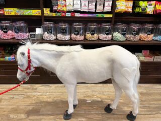 It was so AusSam to see our good friend Lieutenant Rowdy and Eric 😍 Always such a treat to have them both in our store! 🍭#LiveLifeToTheSweetest